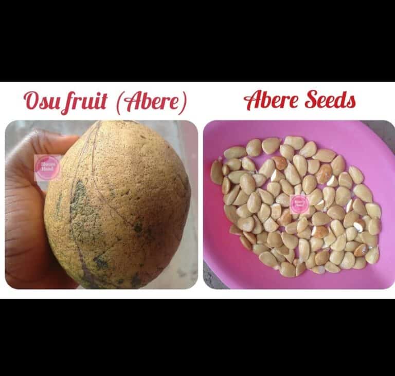 Abere seeds 1