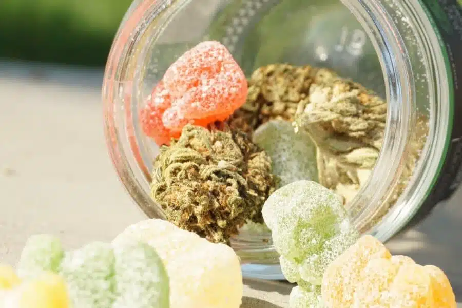 7 Things You Need to Know About Edible Cannabis