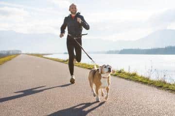 Trial Running with Your Dog