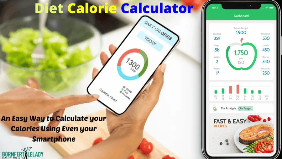 Diet Calorie Calculator - Healthsoothe