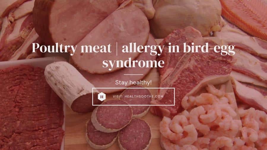 Poultry meat allergy in bird-egg syndrome
