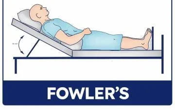 Fowler's Position - Healthsoothe