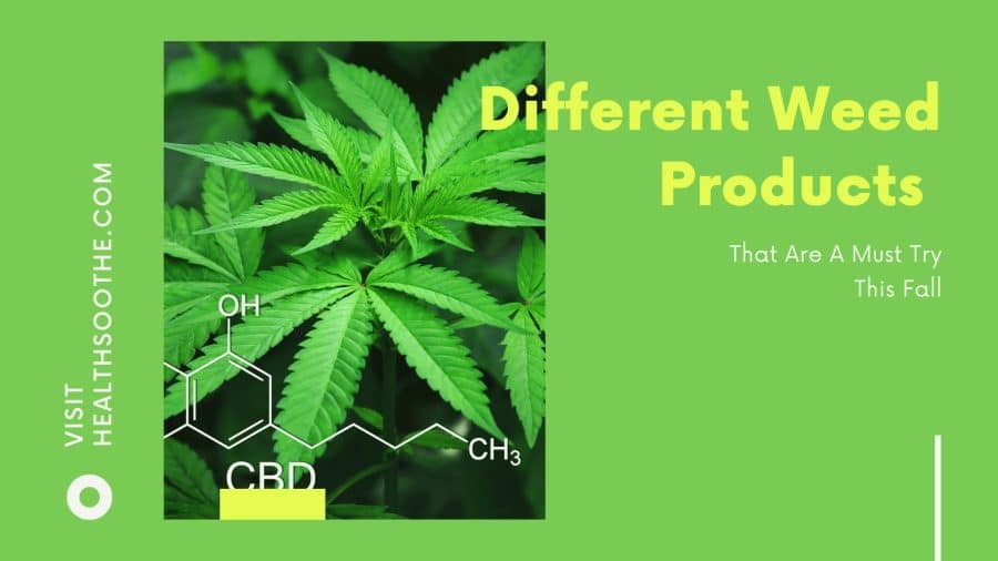 The Rise In Popularity Of Weed: From Herb To Trend