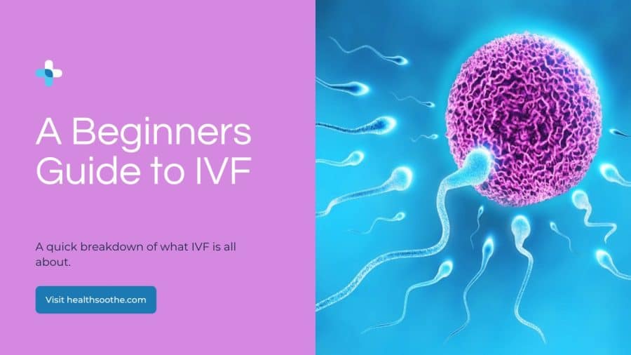 Ivf: A Beginner'S Guide To Navigating Fertility Treatments