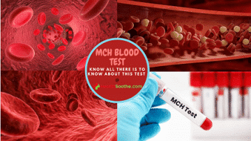 Mch Blood Test - Healthsoothe