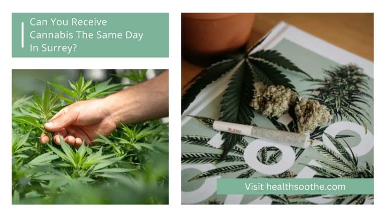 Can You Receive Cannabis The Same Day In Surrey?