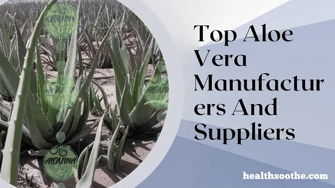 Top 10 Aloe Vera Manufacturers And Suppliers
