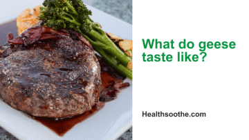 What do geese taste like