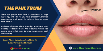 Philtrum - Healthsoothe