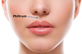 Philtrum - Healthsoothe