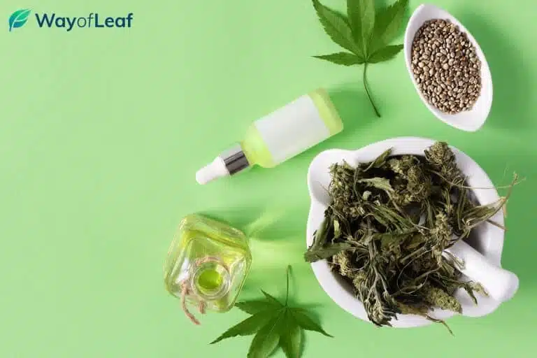 Why You Should Definitely Try Giving Your Dog CBD