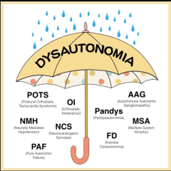 Dysautonomia - Healthsoothe