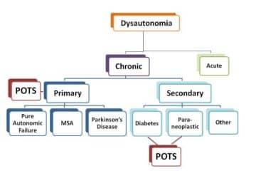 types of dysautonomia - Healthsoothe