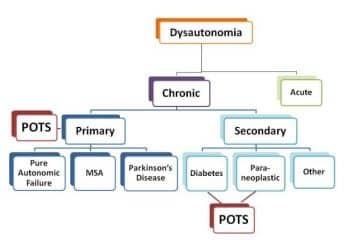 Types Of Dysautonomia - Healthsoothe