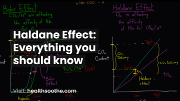 Haldane Effect: Everything you should know