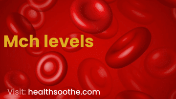 Mch levels/ High and low symptoms, causes.