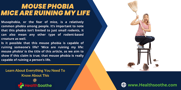 mice are ruining my life: mouse phobia - Healthsoothe