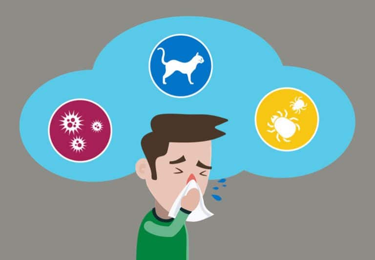 Allergies are ruining my life: 8 ways to fight back - Healthsoothe