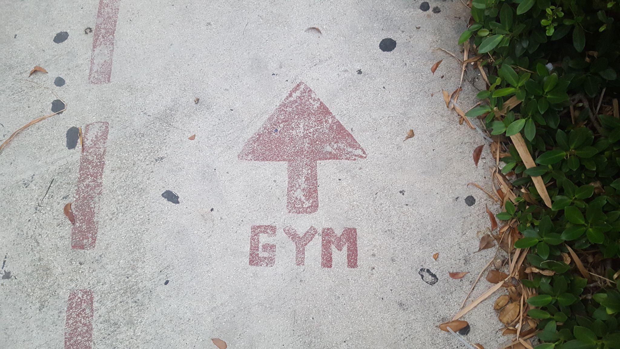 The Role of Fitness Supplements for Gym Beginners