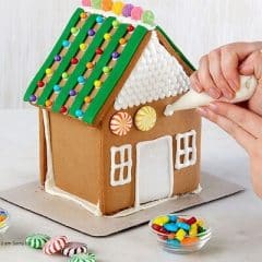 making mini gingerbread houses: constructing mini gingerbread houses - Healthsoothe