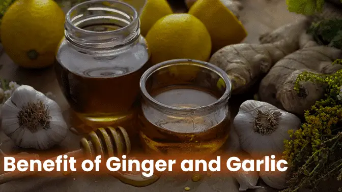 Benefit of Ginger and Garlic