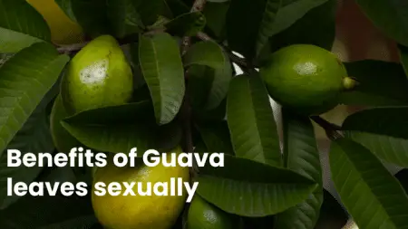 Benefits of Guava leaves sexually