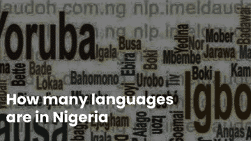 How Many Languages Are In Nigeria