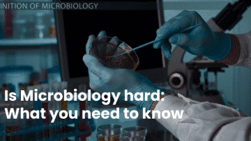 Is Microbiology Hard_ What You Need To Know