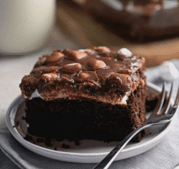 Mississippi Mud Cake - Healthsoothe