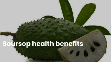 Soursop health benefits