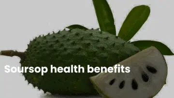Soursop health benefits