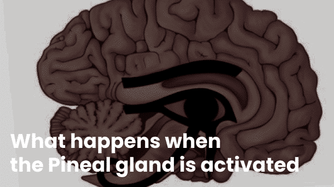 What Happens When The Pineal Gland Is Activated