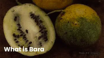 What is Bara