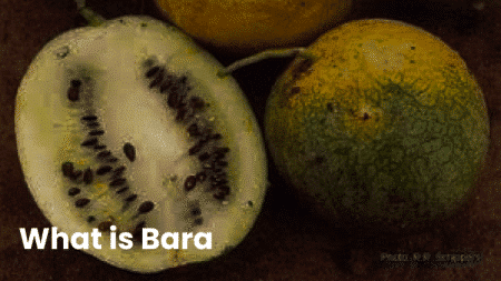 What is Bara