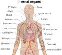 Quiz: Health Trivia Quiz: Health Trivia