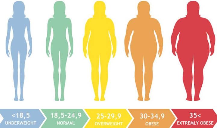 Quiz: What Do You Know About Your Body? Quiz: What Do You Know About Your Body?