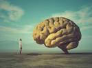 Quiz: What Do You Know About The Human Body? Quiz: What Do You Know About The Human Body?