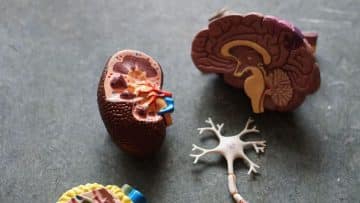 Treating Treatment-Resistant Depression with Vagus Nerve Stimulation TVNS