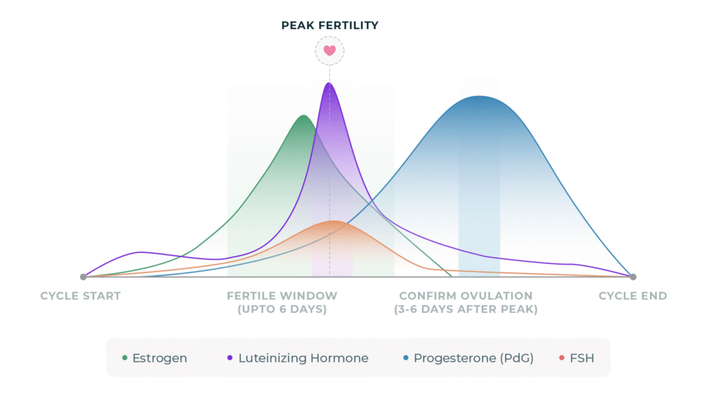 Track your hormones the right way with Inito INITO 2023 Review Blog Hormones INITO 1
