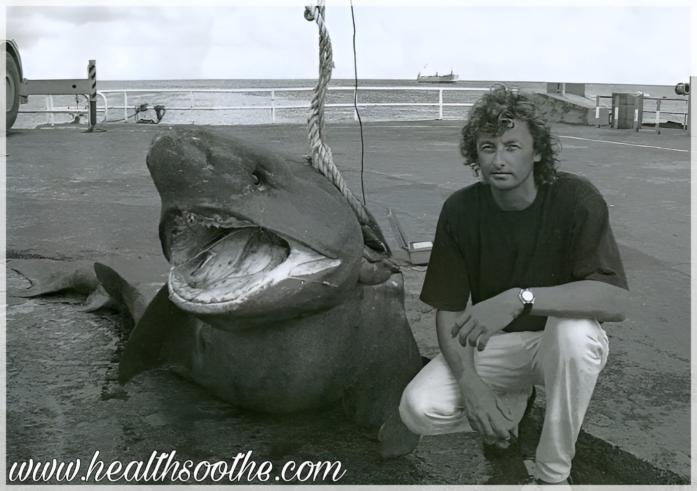 The 10 Biggest Fish Ever Caught: A Closer Look At Nature’s Largest Sea Creatures