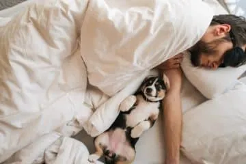 Co-Sleeping with Your Dog: 15 Rules to Bed Sharing