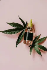 What Makes THC Syrup Special Among Different Cannabis Users?