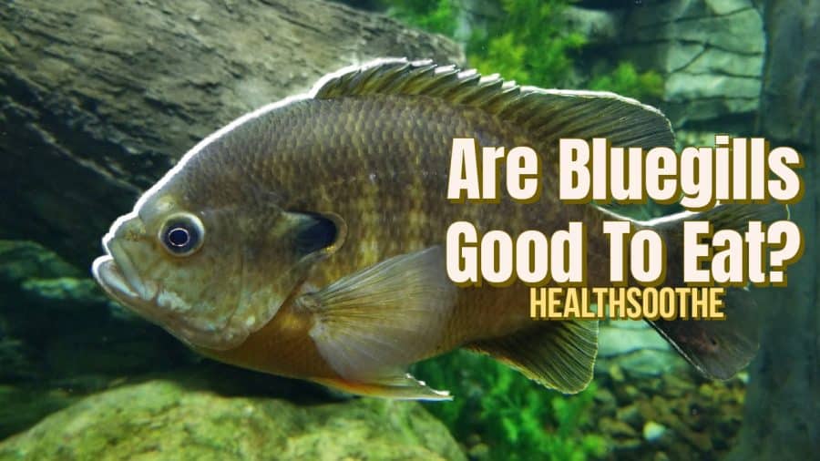 Are Bluegills Good To Eat