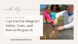 Stingray