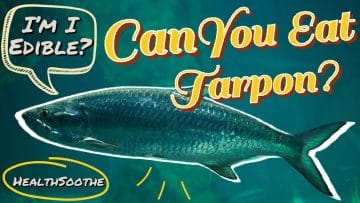 Can You Eat Tarpon