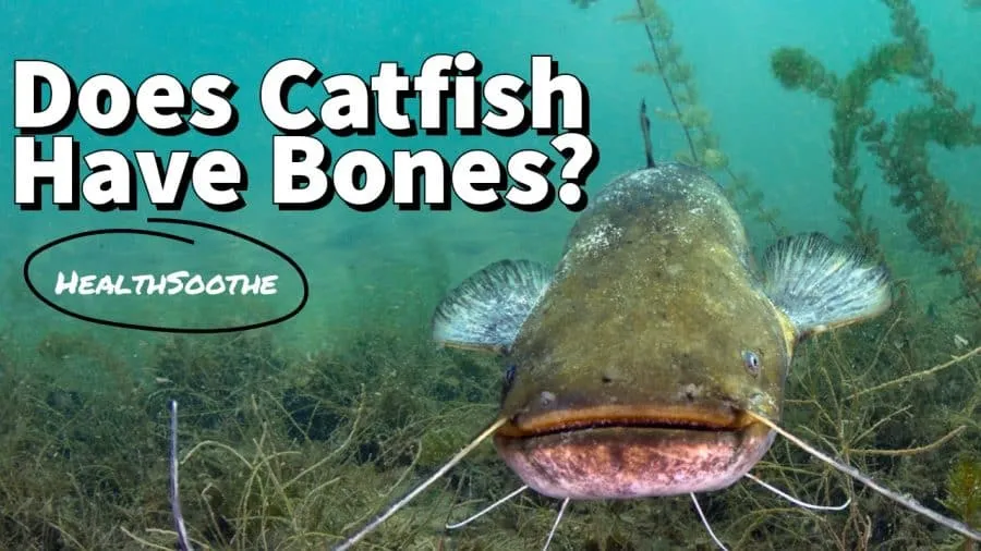 does catfish have bone