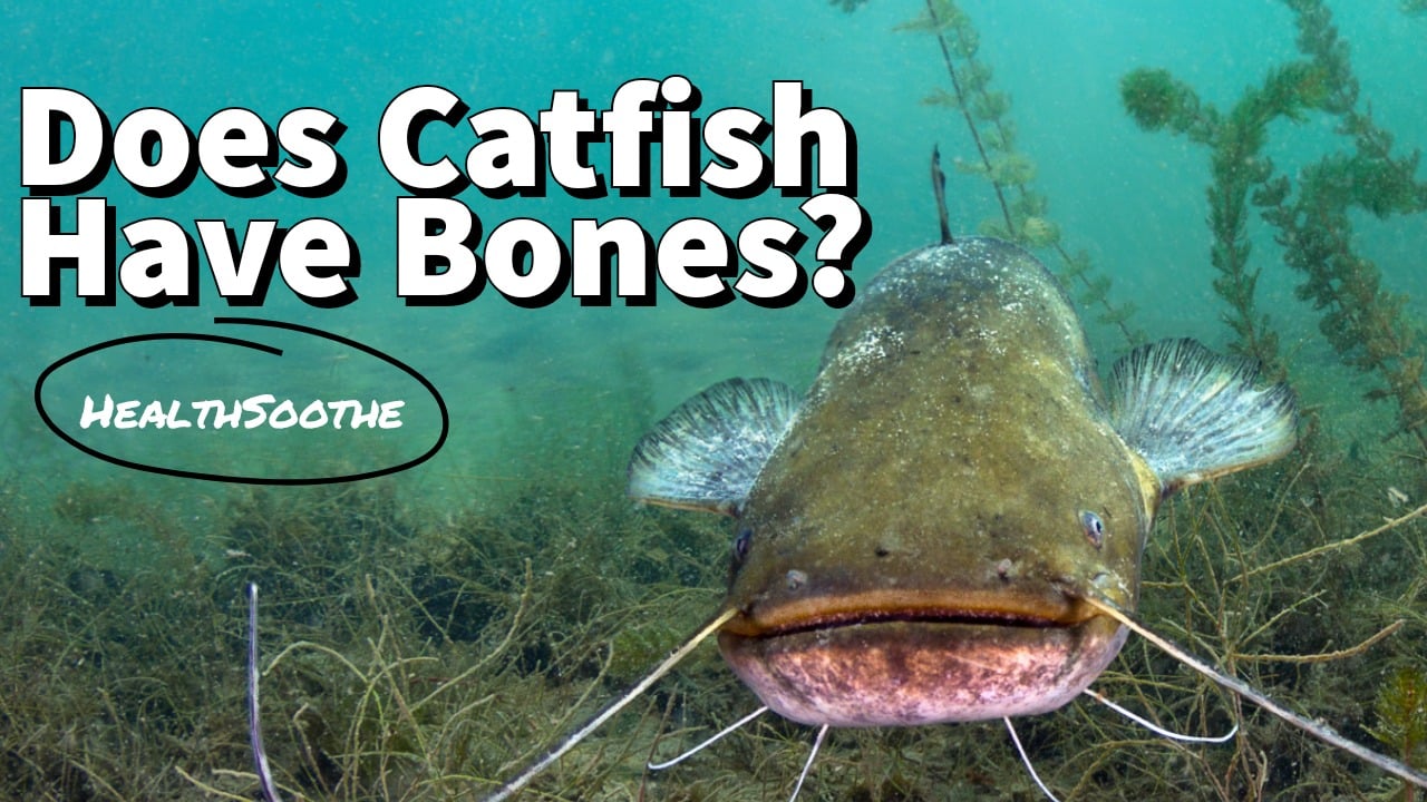 Does Catfish Have Bones? Get The Facts Here!