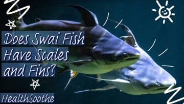 Does Swai Fish Has Scales And Fins