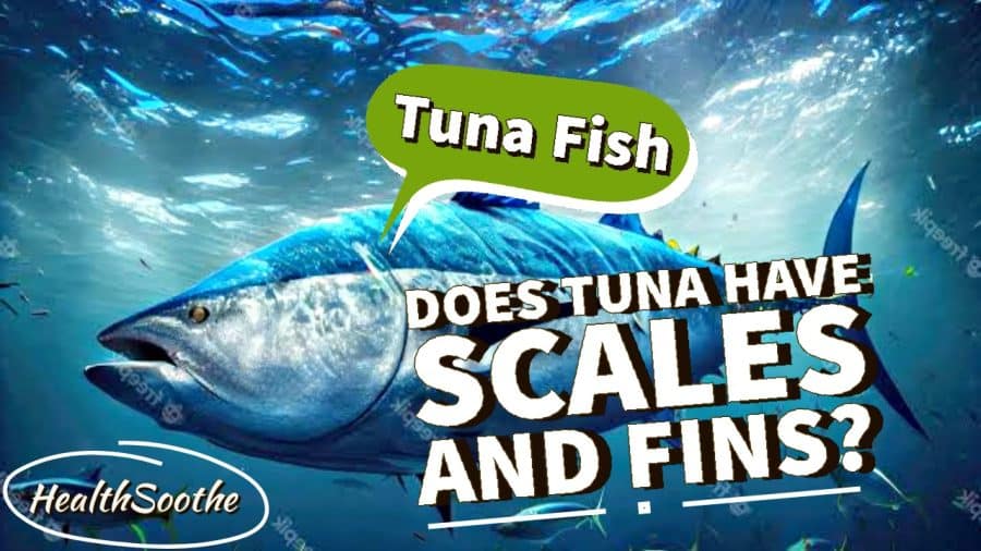 Does Tuna Have Scales And Fins