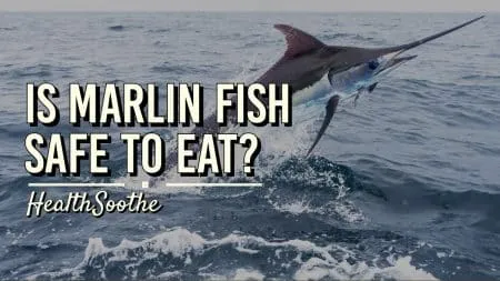 marlin fish